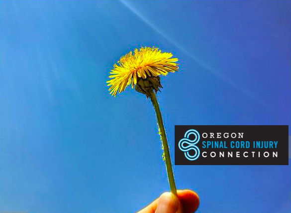 Friends & Family Support Group